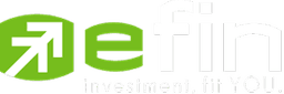 eFin Logo